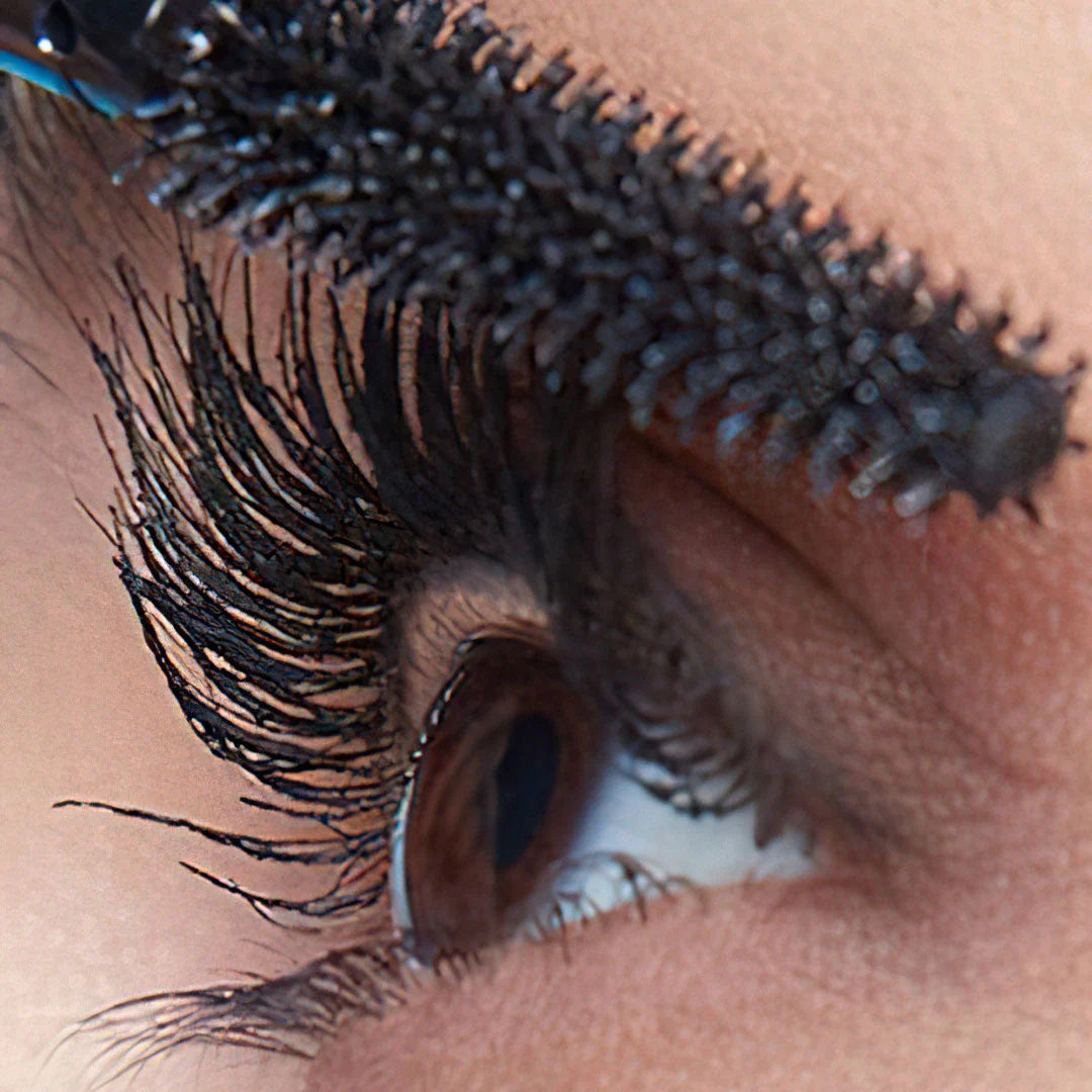 Maybelline  Everyday Bundle